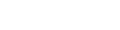 Link P&M Japan